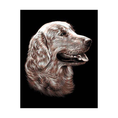 Гравюра Reeves (Oasis)