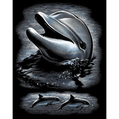 Гравюра Reeves (Oasis)