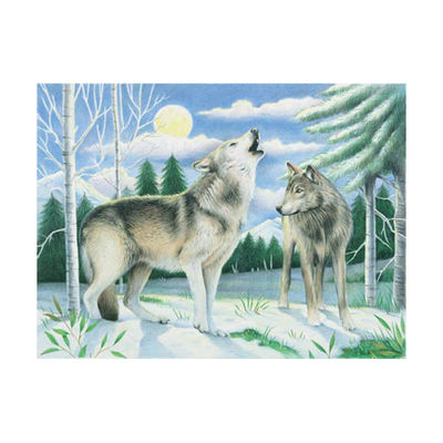 Набор для раскрашивания Reeves (Oasis)