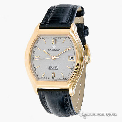 Часы Candino, цвет цвет черный