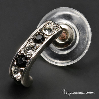 Гвоздики Crocus