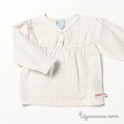 Футболка Coccodrillo