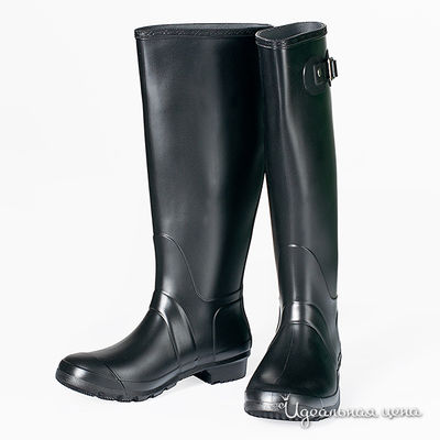 Сапоги G&G, цвет цвет черный