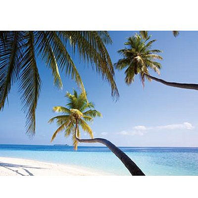 Пазл Ravensburger