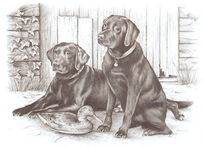 Набор для раскрашивания Reeves (Oasis)