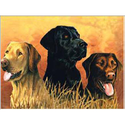 Набор Reeves (Oasis)