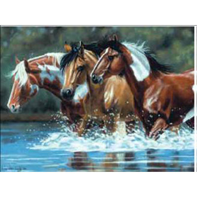 Набор Reeves (Oasis)