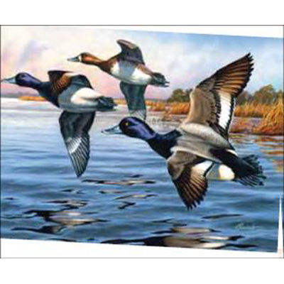 Набор Reeves (Oasis)