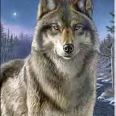 Набор для раскрашивания Reeves (Oasis)