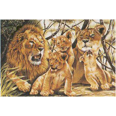 Набор для раскрашивания Reeves (Oasis)