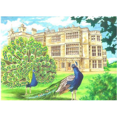 Набор Reeves (Oasis)