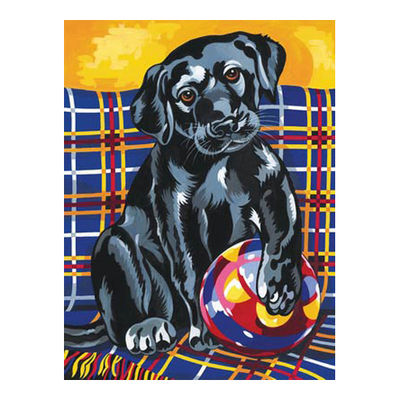 Набор Reeves (Oasis)