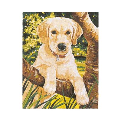 Набор для раскрашивания Reeves (Oasis)