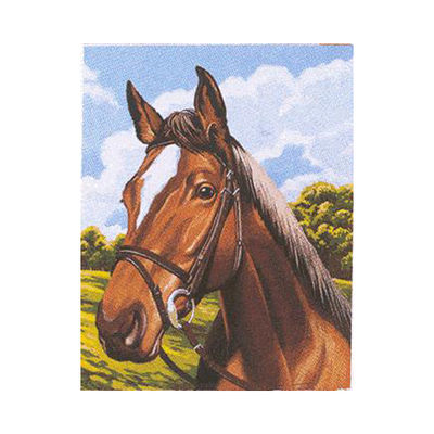 Набор Reeves (Oasis)