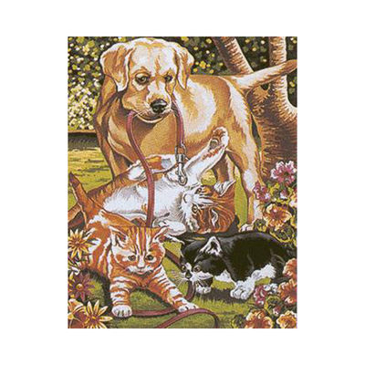 Набор для раскрашивания Reeves (Oasis)