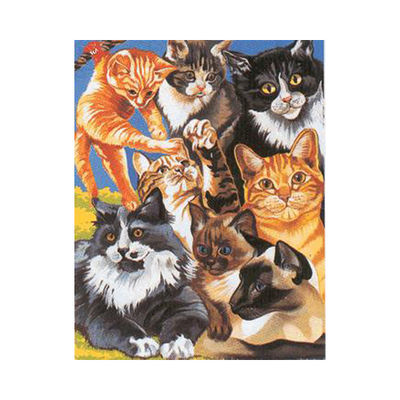 Набор Reeves (Oasis)