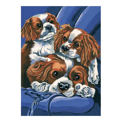 Набор для раскрашивания Reeves (Oasis)