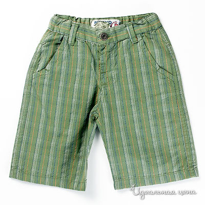 Бриджи R.Zero, K.Kool, MRK, цвет цвет зеленый