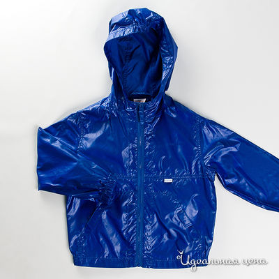 Ветровка Gulliver, цвет цвет синий