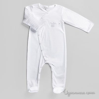 Боди Petit Patapon