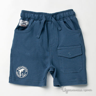 Шорты Petit Patapon