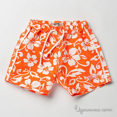 Шорты Petit Patapon