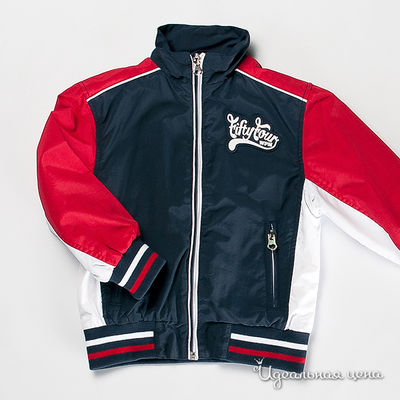 Ветровка WPM, цвет цвет темно-синий