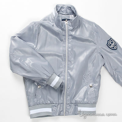 Ветровка WPM, цвет серебро