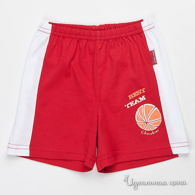 Шорты Cherubino