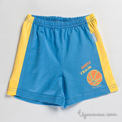 Шорты Cherubino