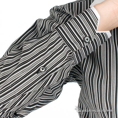 Рубашка Alonzo Corrado женская, цвет серый / черный / белый
