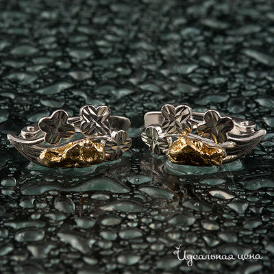 Серьги Rare Gold