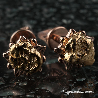 Гвоздики Rare Gold