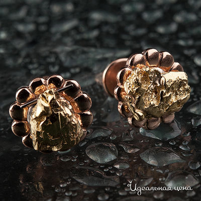 Гвоздики Rare Gold