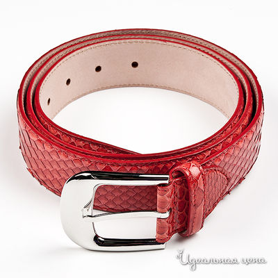 Ремень Rossignol