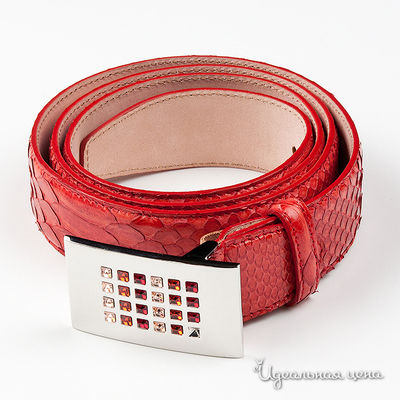 Ремень Rossignol