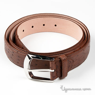 Ремень Rossignol