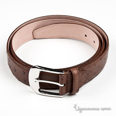 Ремень Rossignol