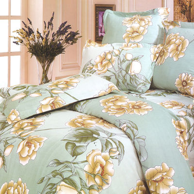 Комплект Softline