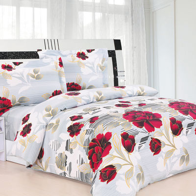 Комплект Softline