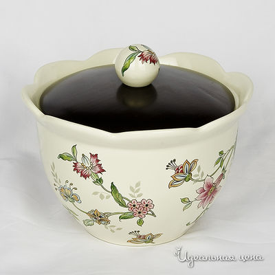 Банка Nuovo cer