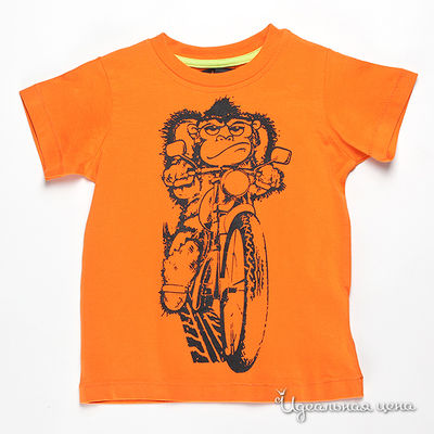 Футболка Minoti, цвет цвет оранжевый