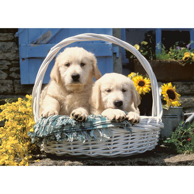 Пазл Ravensburger