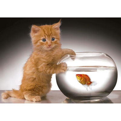 Пазл Ravensburger