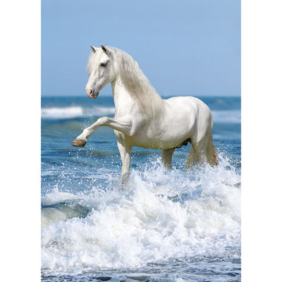 Пазл Ravensburger