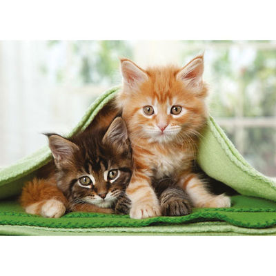 Пазл Ravensburger