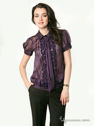  Festival, цвет Нет данных