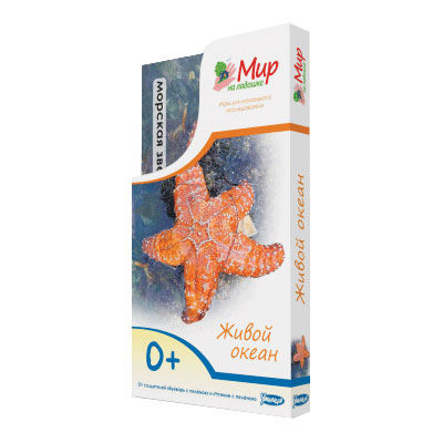 Развивающий набор Umnitsa