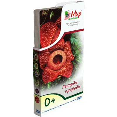 Развивающий набор Umnitsa