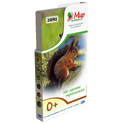 Развивающий набор Umnitsa